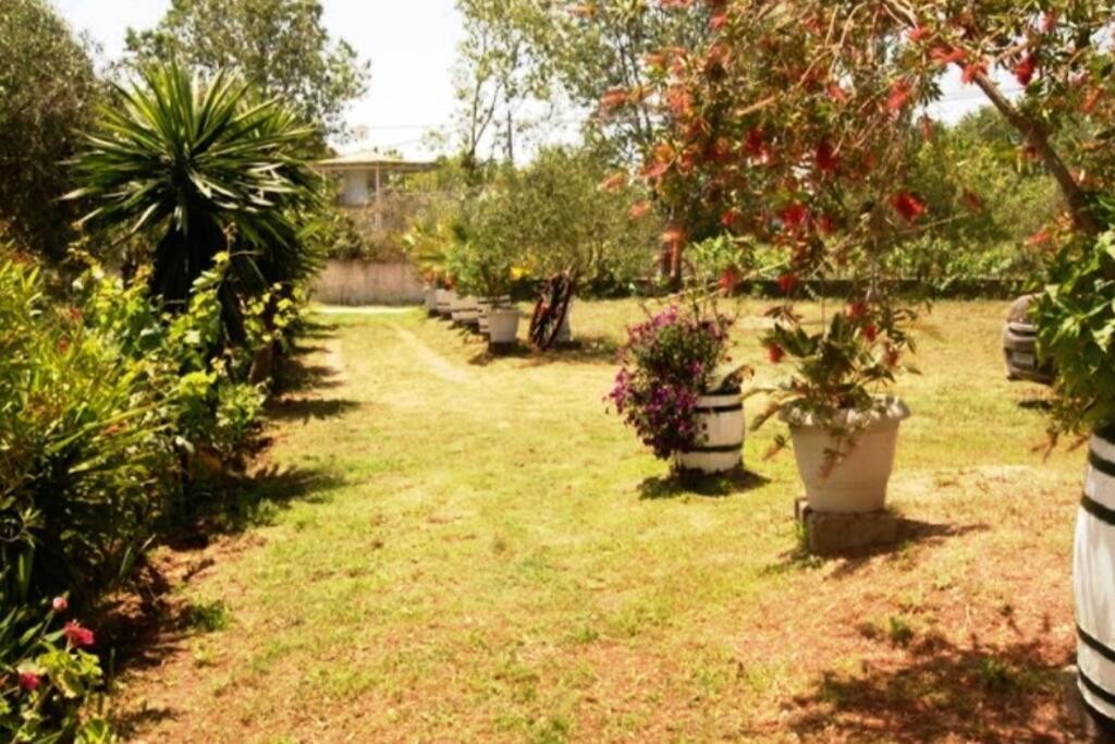 Vakantiehuis Messavrissi Chalikounas