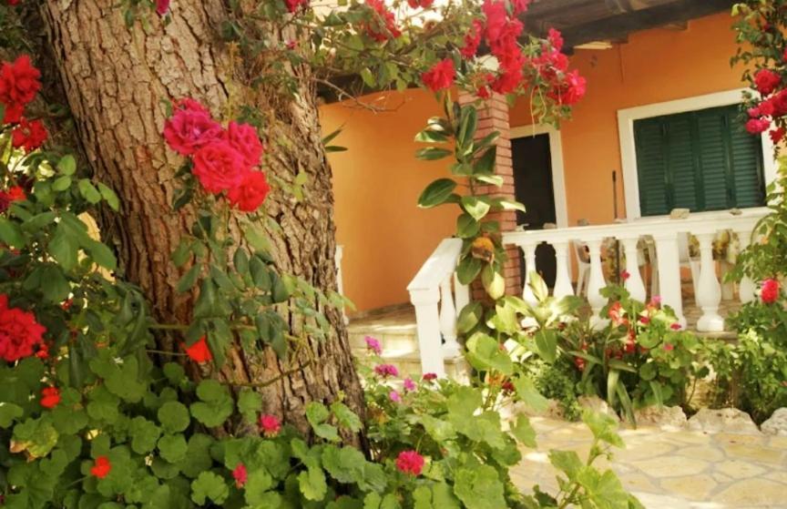 Messavrissi Holiday home *
